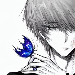 @ante3kuu