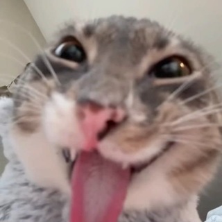 @Anutk_pgg