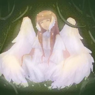 @Apricot_83
