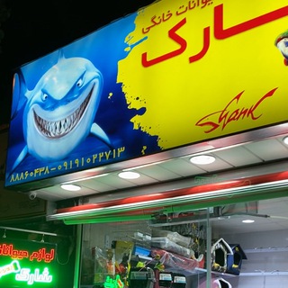 پت شاپ شارك(PET SHOP)