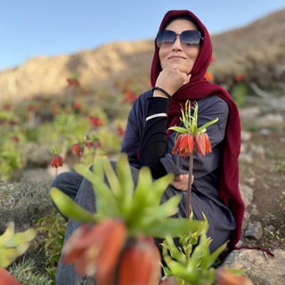 آرزویزدانی_ر_ه_ا