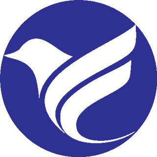 سفر باید کرد