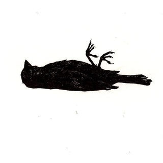 @arts_fish