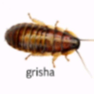 @arurq