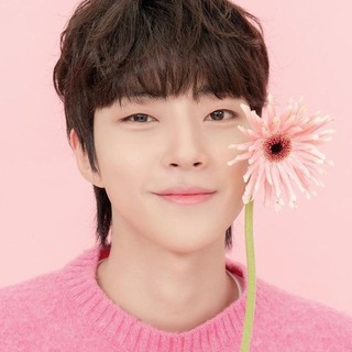 @Asia_Doramy_katalog