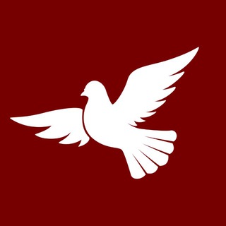 @assembly_rus