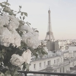 @assiforever