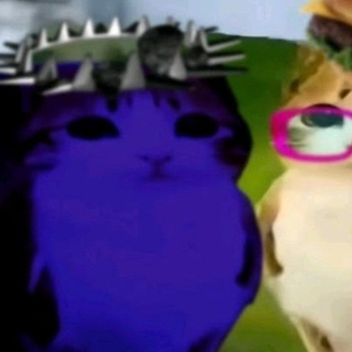 @AurumXD
