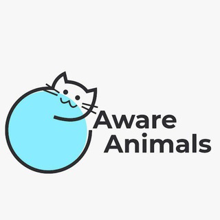 Aware Animals