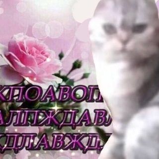@B1tem30_0