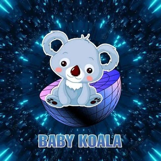 @babykoala_official