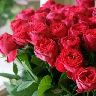 ۞بهـٌ؁ْٖٖٔـاْْٖٖٖر✞نـٌ؁ّّٖٖـارنج۞