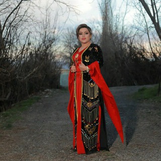 Baran hakimi music