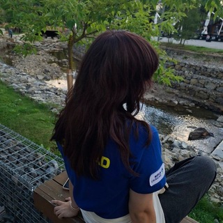 @Barissi