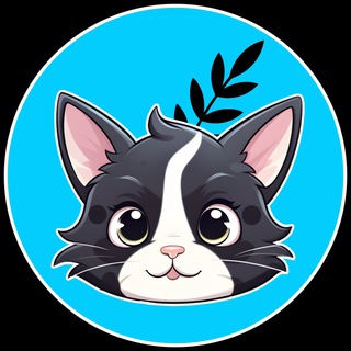 @BARSIK_Portal