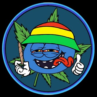 @basemarley