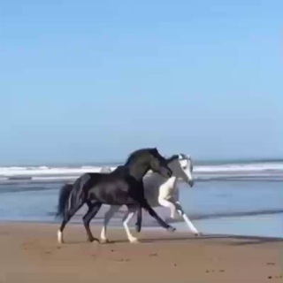 @bayad4A