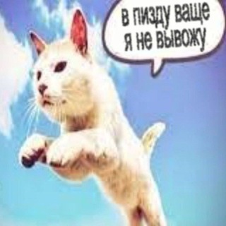 @bbbb1llda00