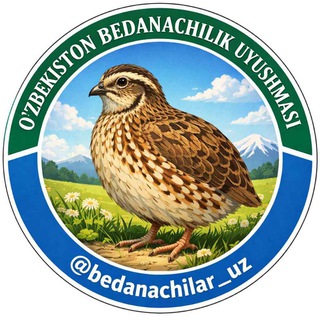 @BEDANACHILAR_UZ
