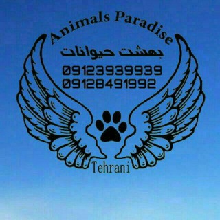 🐾كانال خبري بهشت حيوانات🐾