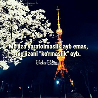 @bekkerbaltasarfalsafasi