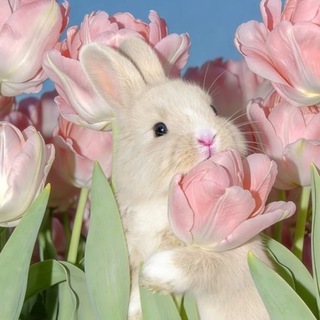 @BEMIUVOFFICIAL