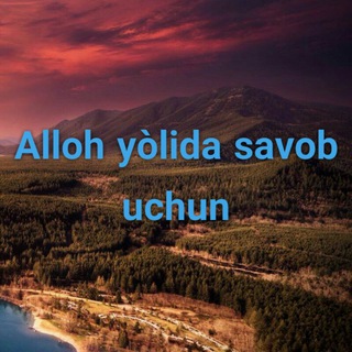 Arab tili bepul ta'lim