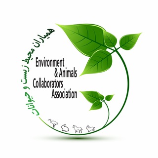 همیاران محیط زیست و حیوانات