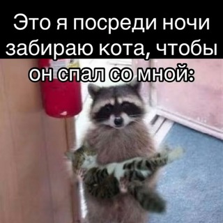 @BHsdrtmzwzHL