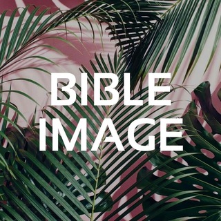 🌿 Bible Image