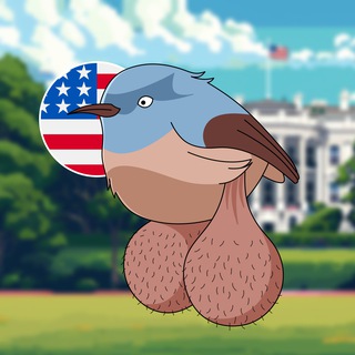 @big_balls_birds_chat