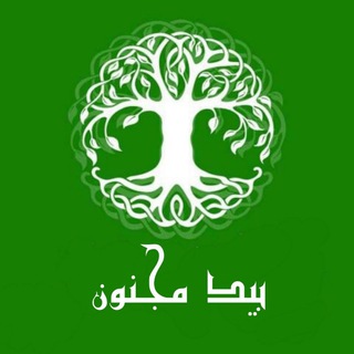 بید مجنون