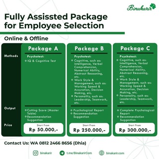 www.binakarir.com