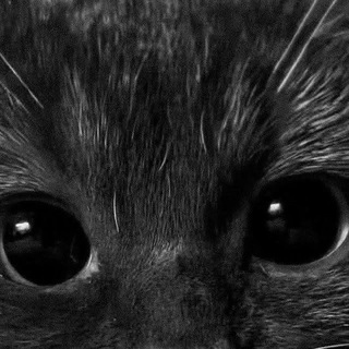 @biocaffy