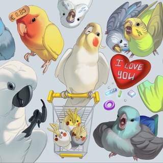@birbchat