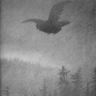 @blackmetalosservatorio
