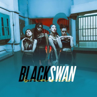 @blackswannbrasil