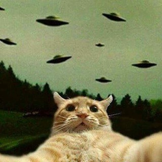 @blek_stalker