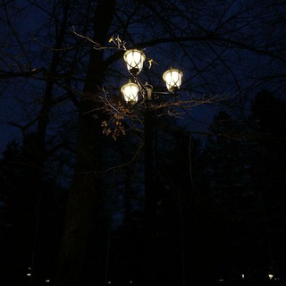 микроблог 🚩