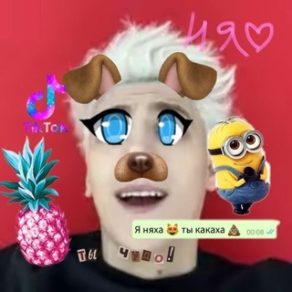 @Blood_faui