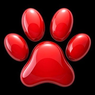 @bmp_real