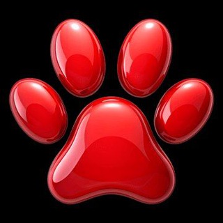 @bmp_real_no1