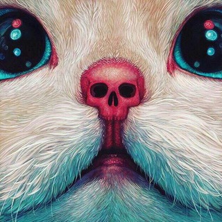 B O M B A P I C 🌇🌉🌃