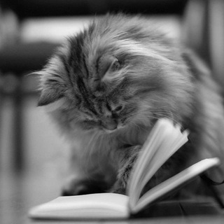 @bookbotgroup_info2