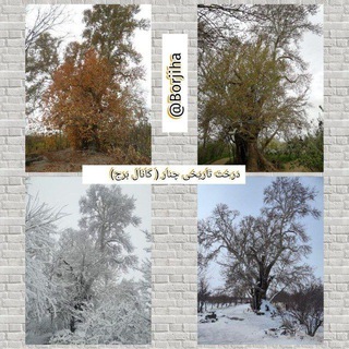 ✍️ کانال برج ✍️