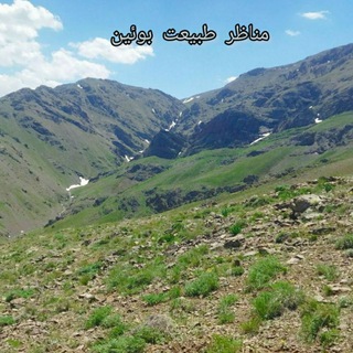 اطلاع رسانی بوئینی ها