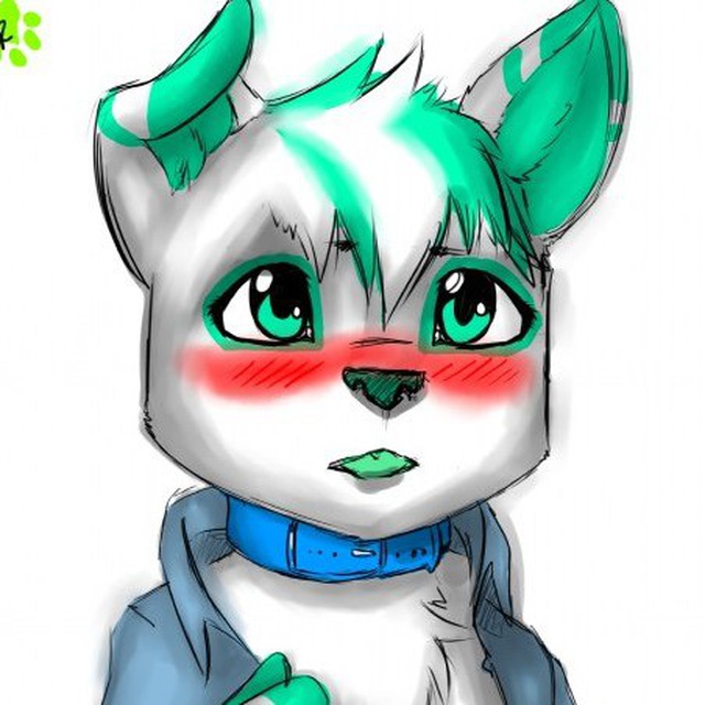 The boy cub club