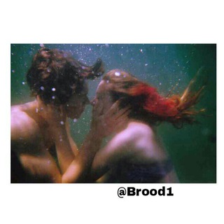 @Brood11Bot