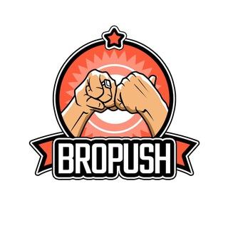 BroPush Support