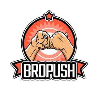 BroPush | EN community